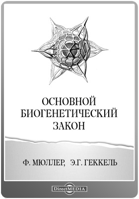 Www kraken 20at net
