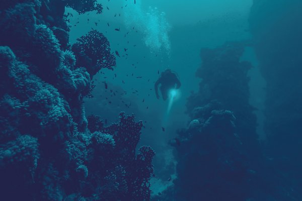 Kraken 19 at