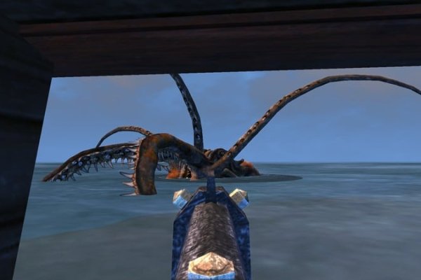 Kraken 24 at