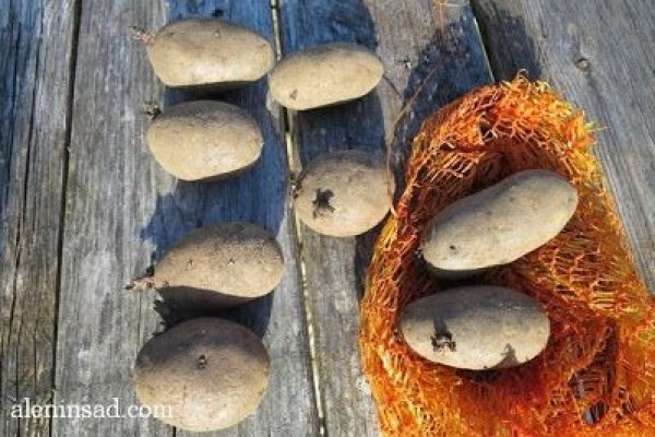 Ссылки на сайты в даркнете
