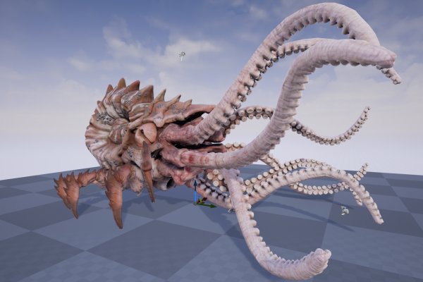 Kraken kraken link24 info