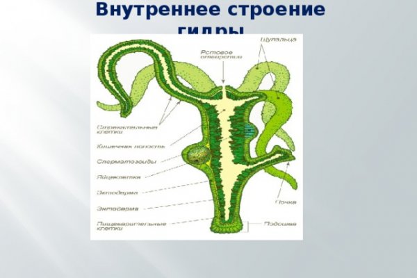 Кракен рабочая ссылка