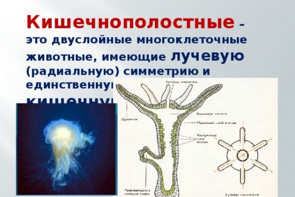 Что такое кракен плейс