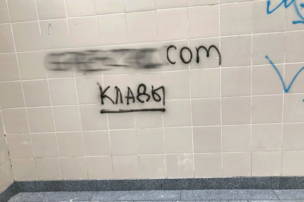 Kraken настоящая ссылка