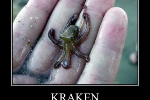 Kraken что это за магазин