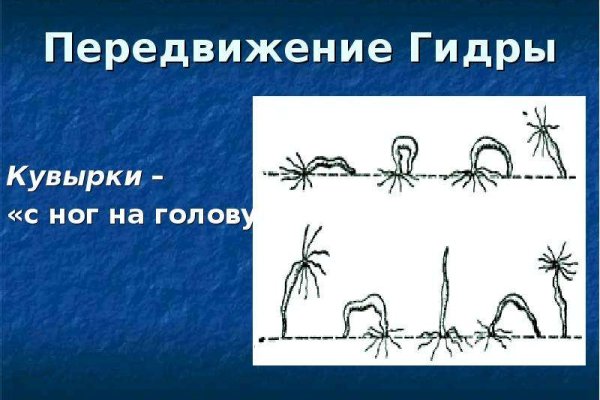 Кракен не грузит