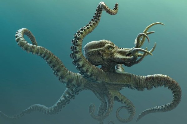 Kraken 12