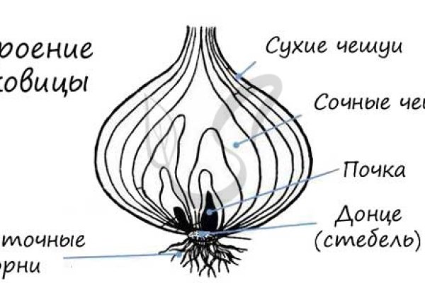 Кракен сайт упал