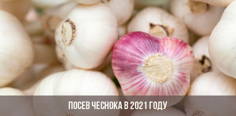Кракен ссылка оригинал